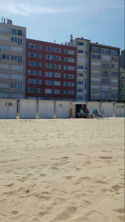2 Slaapkamer Appartement Op De Zeedijk Van Oostende. 外观 照片